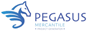 PEGASUS MERCANTILE