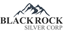 BLACKROCK SILVER