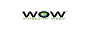WOWI INC