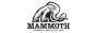 MAMMOTH ENERGY SERVICES INC.