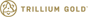 RENEGADE GOLD INC