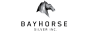 BAYHORSE SILVER