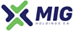 MIG HOLDINGS