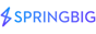 SPRINGBIG HOLDINGS