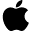 APPLE INC.