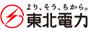 TOHOKU ELECTRIC POWER